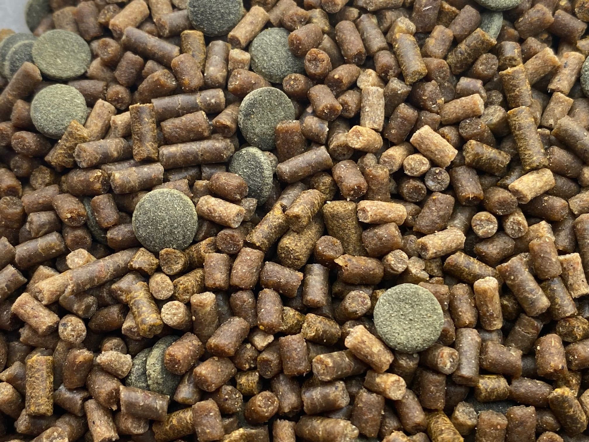 Your one-stop shop for diverse, top-quality aquarium supplies and accessories