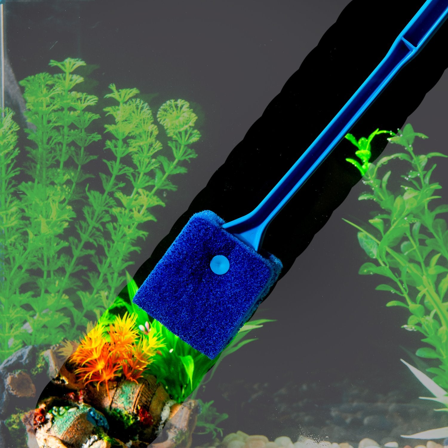Your one-stop shop for diverse, top-quality aquarium supplies and accessories