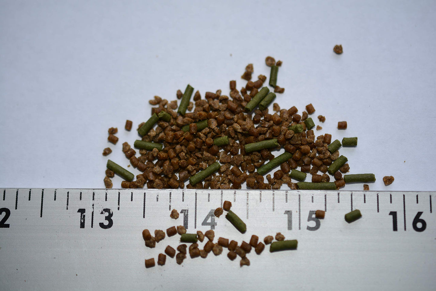 Your one-stop shop for diverse, top-quality aquarium supplies and accessories