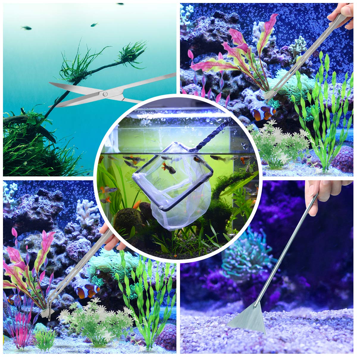 Your one-stop shop for diverse, top-quality aquarium supplies and accessories