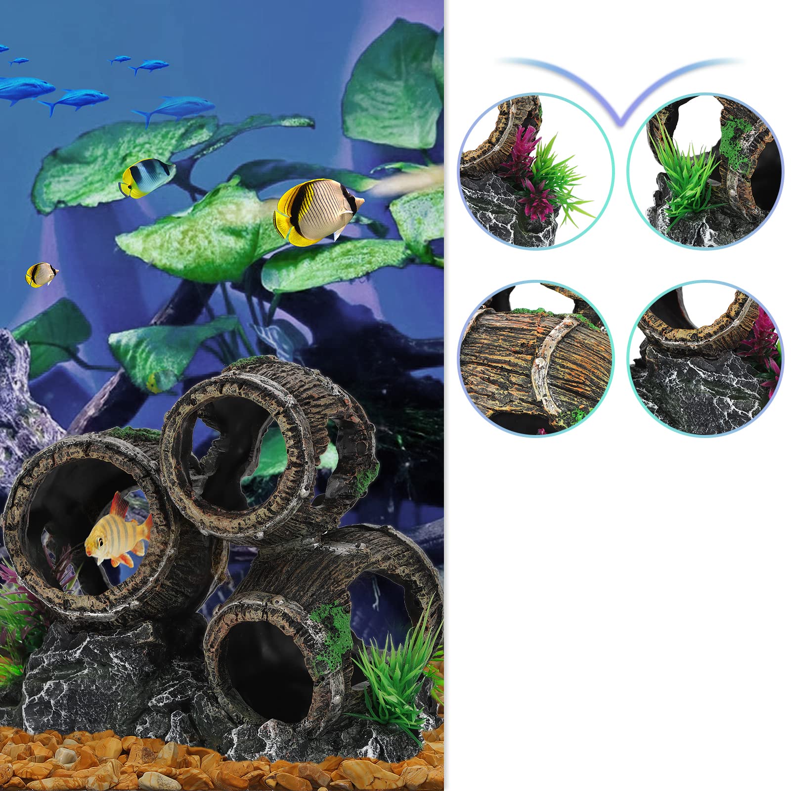 Your one-stop shop for diverse, top-quality aquarium supplies and accessories