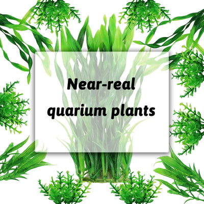 Your one-stop shop for diverse, top-quality aquarium supplies and accessories