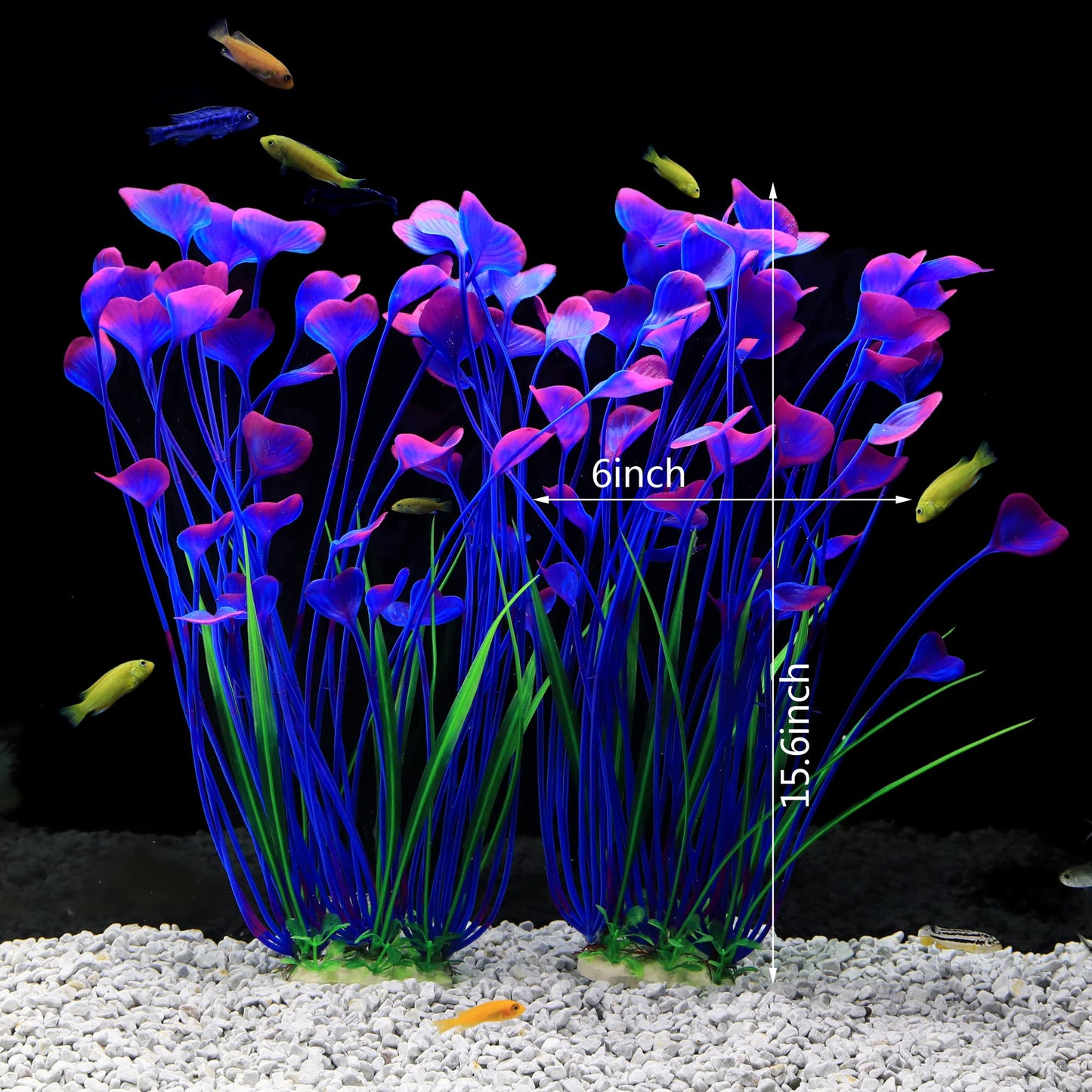 Your one-stop shop for diverse, top-quality aquarium supplies and accessories