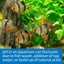 Your one-stop shop for diverse, top-quality aquarium supplies and accessories