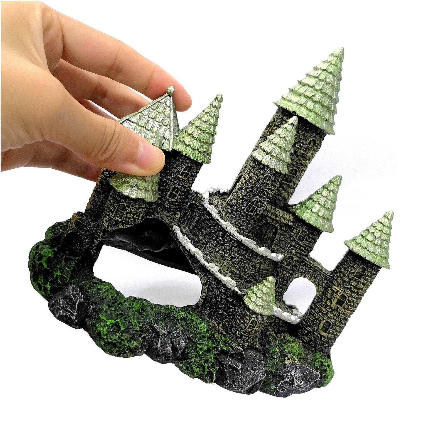 Your one-stop shop for diverse, top-quality aquarium supplies and accessories