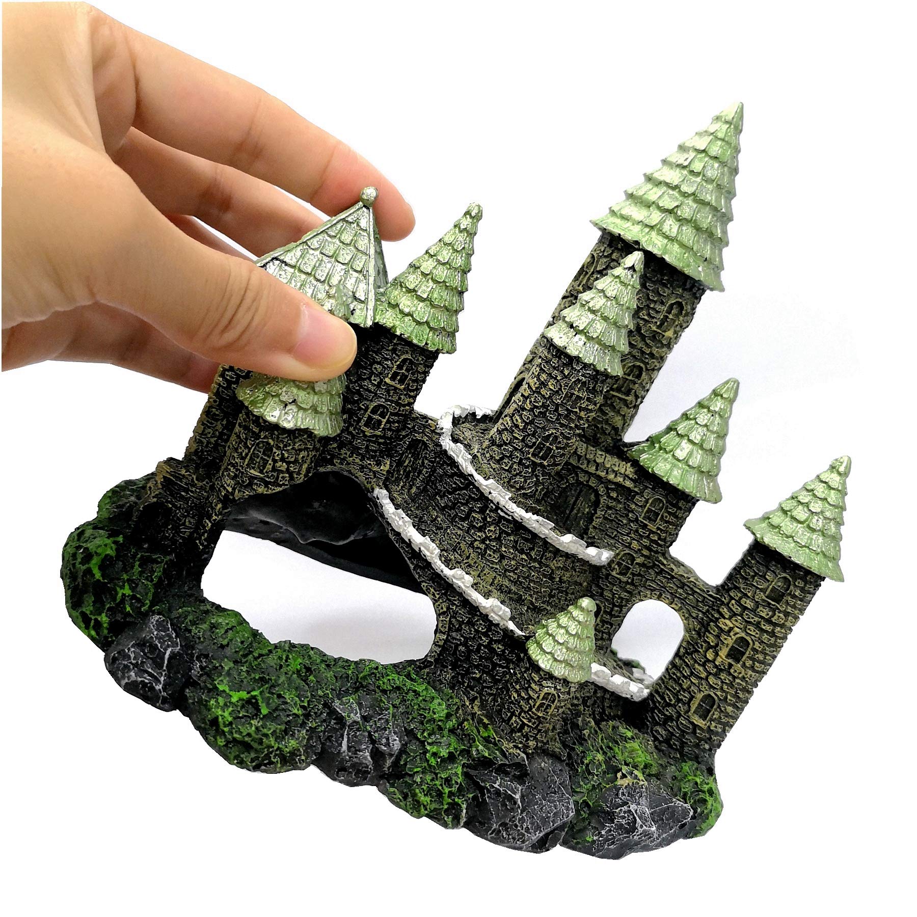 Your one-stop shop for diverse, top-quality aquarium supplies and accessories