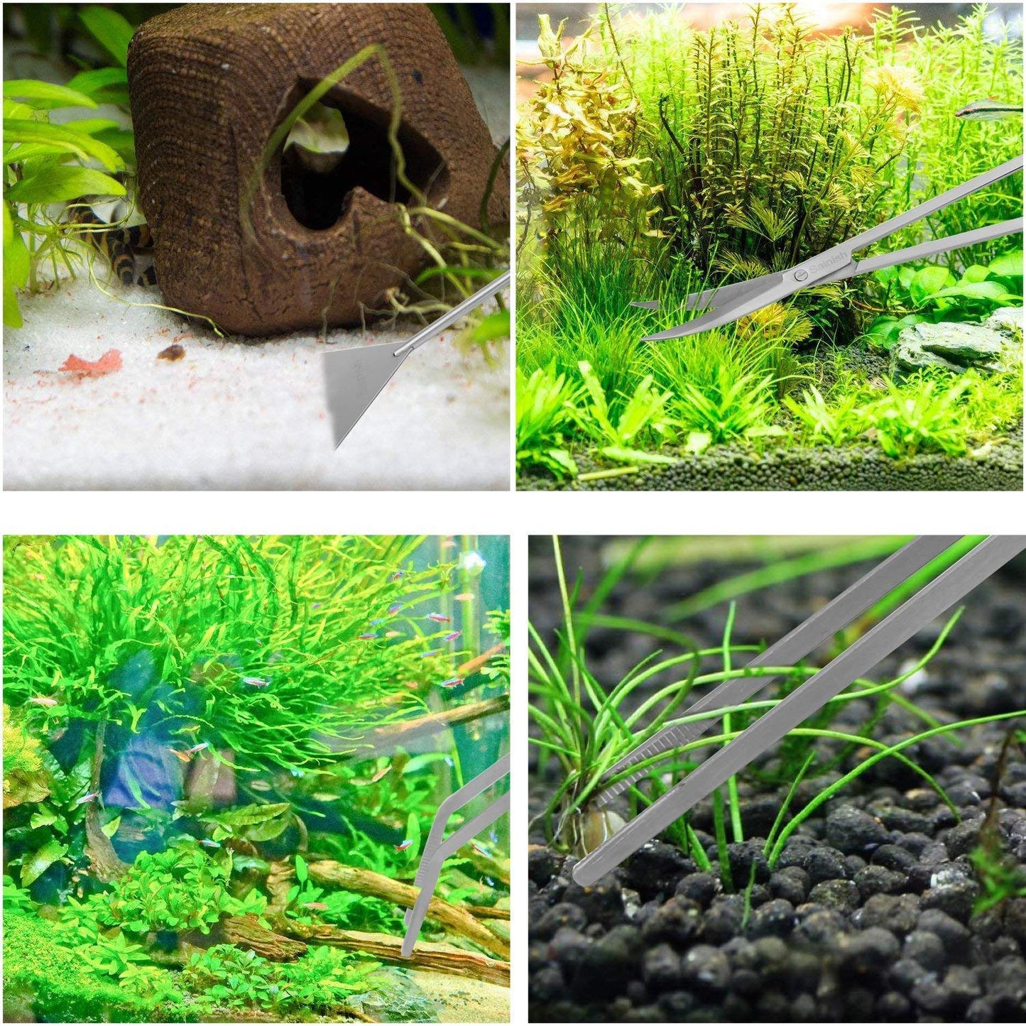 Your one-stop shop for diverse, top-quality aquarium supplies and accessories