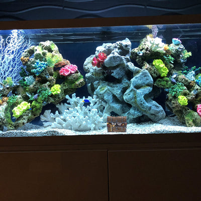 Your one-stop shop for diverse, top-quality aquarium supplies and accessories
