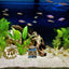 Your one-stop shop for diverse, top-quality aquarium supplies and accessories