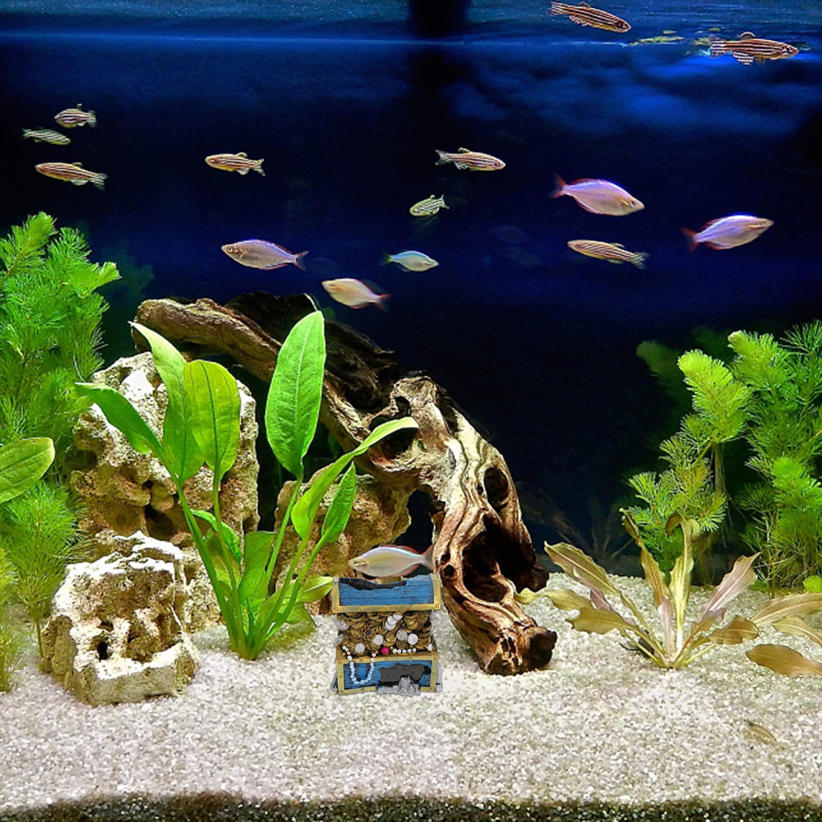 Your one-stop shop for diverse, top-quality aquarium supplies and accessories