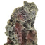 Your one-stop shop for diverse, top-quality aquarium supplies and accessories
