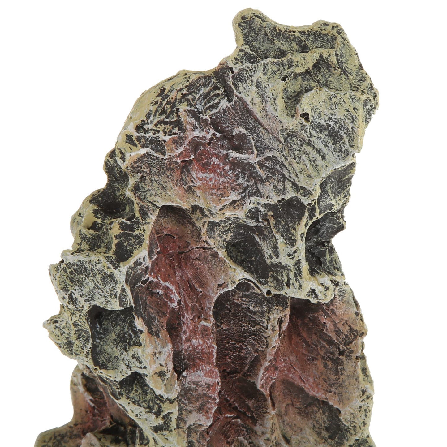 Your one-stop shop for diverse, top-quality aquarium supplies and accessories