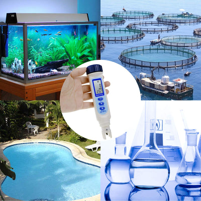Your one-stop shop for diverse, top-quality aquarium supplies and accessories
