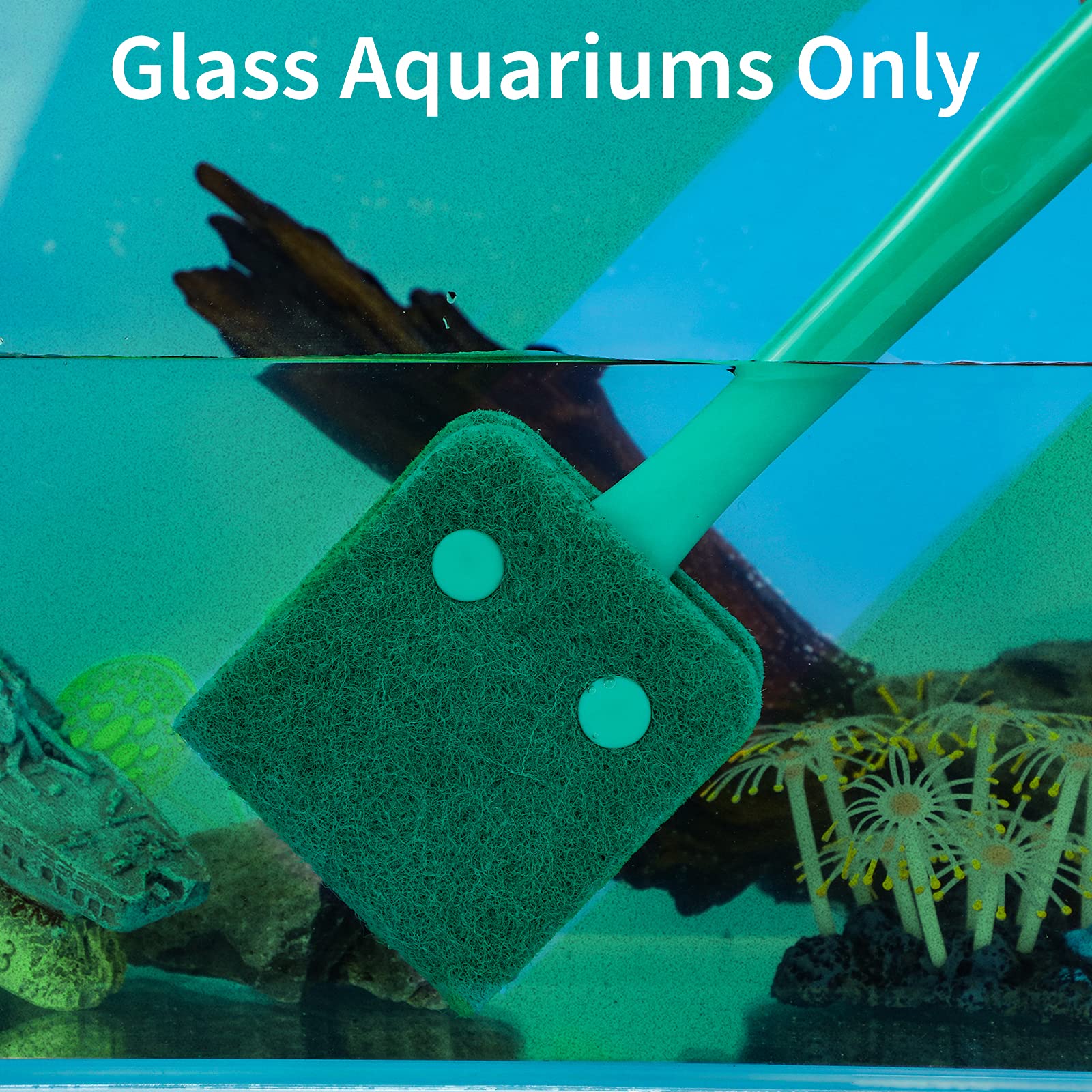 Your one-stop shop for diverse, top-quality aquarium supplies and accessories