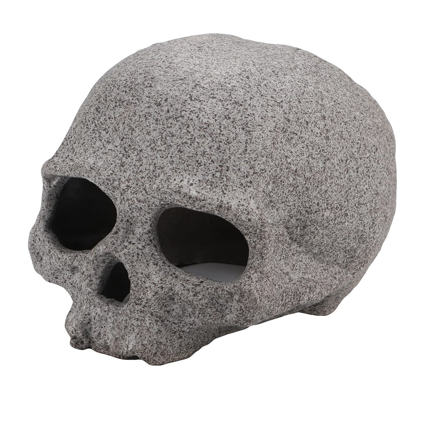 Your one-stop shop for diverse, top-quality aquarium supplies and accessories