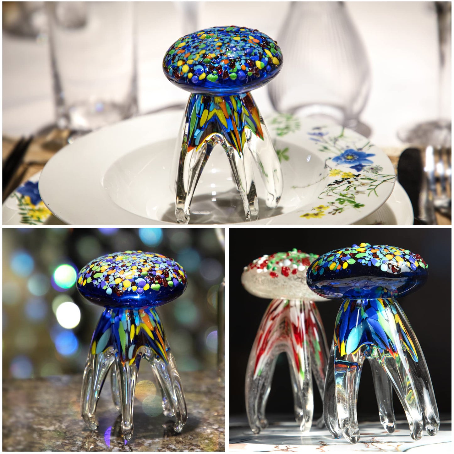 Your one-stop shop for diverse, top-quality aquarium supplies and accessories