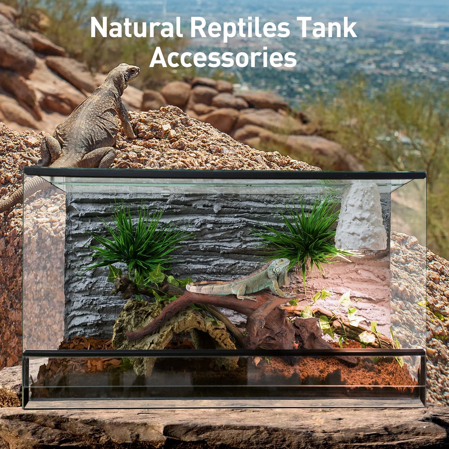 Your one-stop shop for diverse, top-quality aquarium supplies and accessories