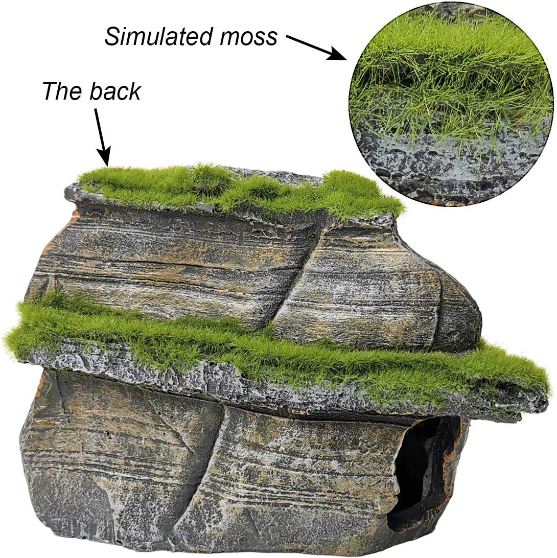 Your one-stop shop for diverse, top-quality aquarium supplies and accessories