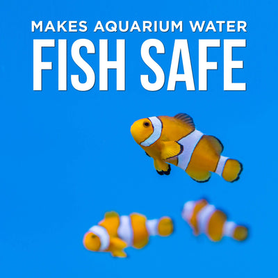Your one-stop shop for diverse, top-quality aquarium supplies and accessories