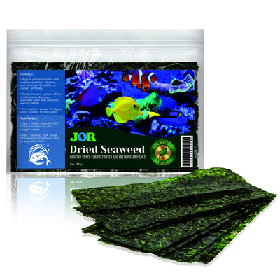 Your one-stop shop for diverse, top-quality aquarium supplies and accessories