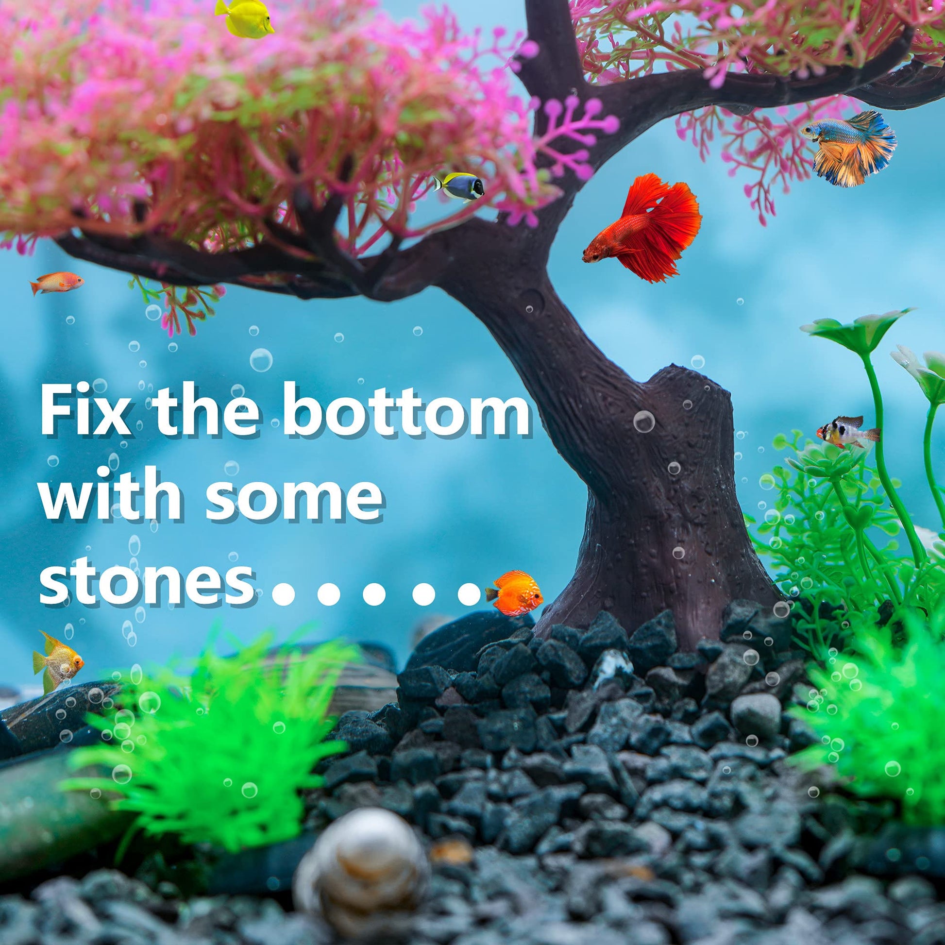 Your one-stop shop for diverse, top-quality aquarium supplies and accessories