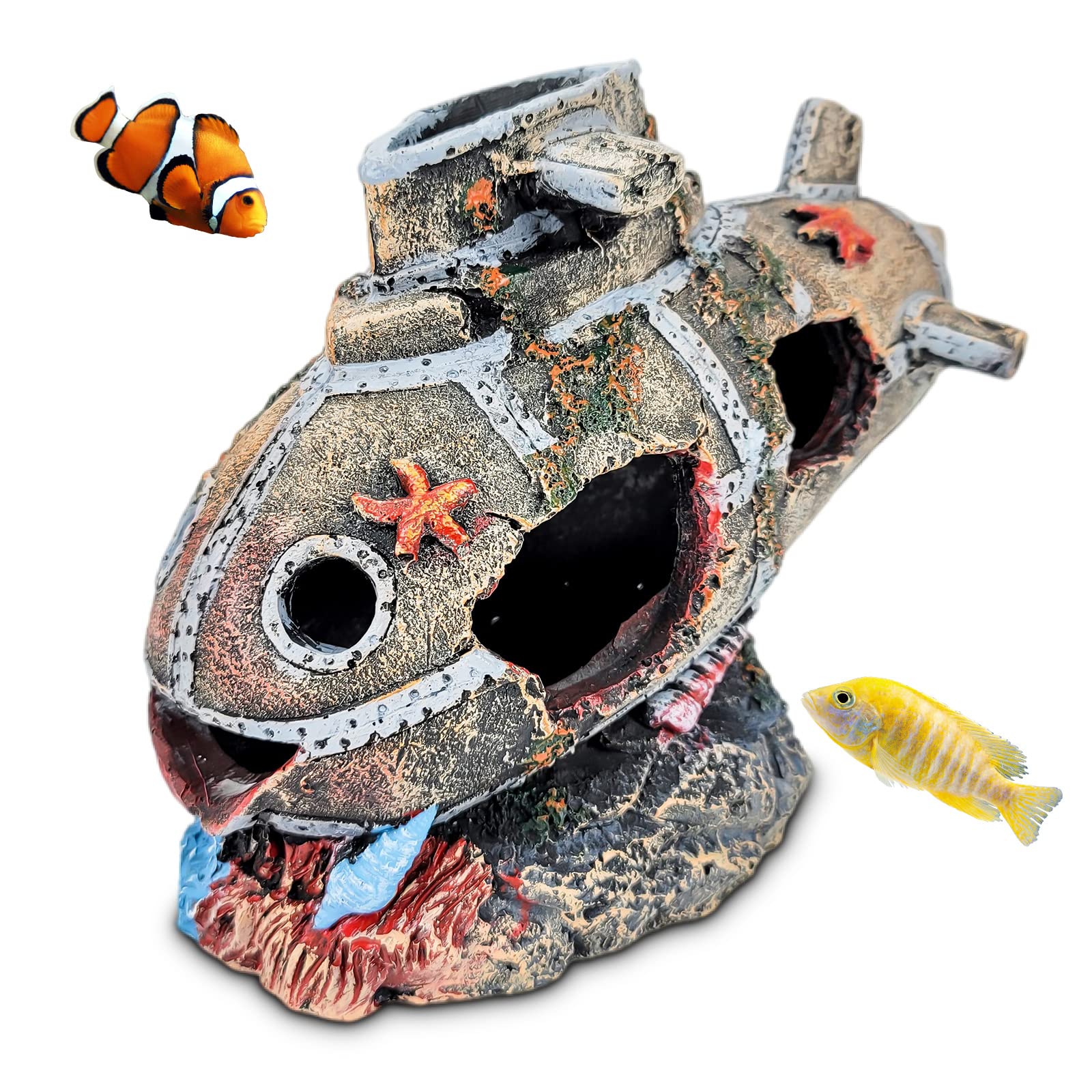 Your one-stop shop for diverse, top-quality aquarium supplies and accessories