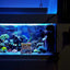 Your one-stop shop for diverse, top-quality aquarium supplies and accessories