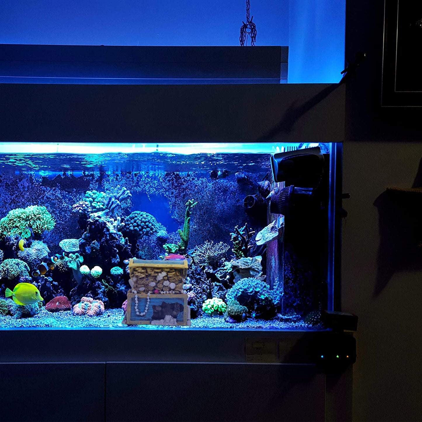 Your one-stop shop for diverse, top-quality aquarium supplies and accessories