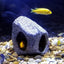 Your one-stop shop for diverse, top-quality aquarium supplies and accessories