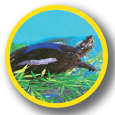 Your one-stop shop for diverse, top-quality aquarium supplies and accessories