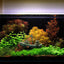 Your one-stop shop for diverse, top-quality aquarium supplies and accessories
