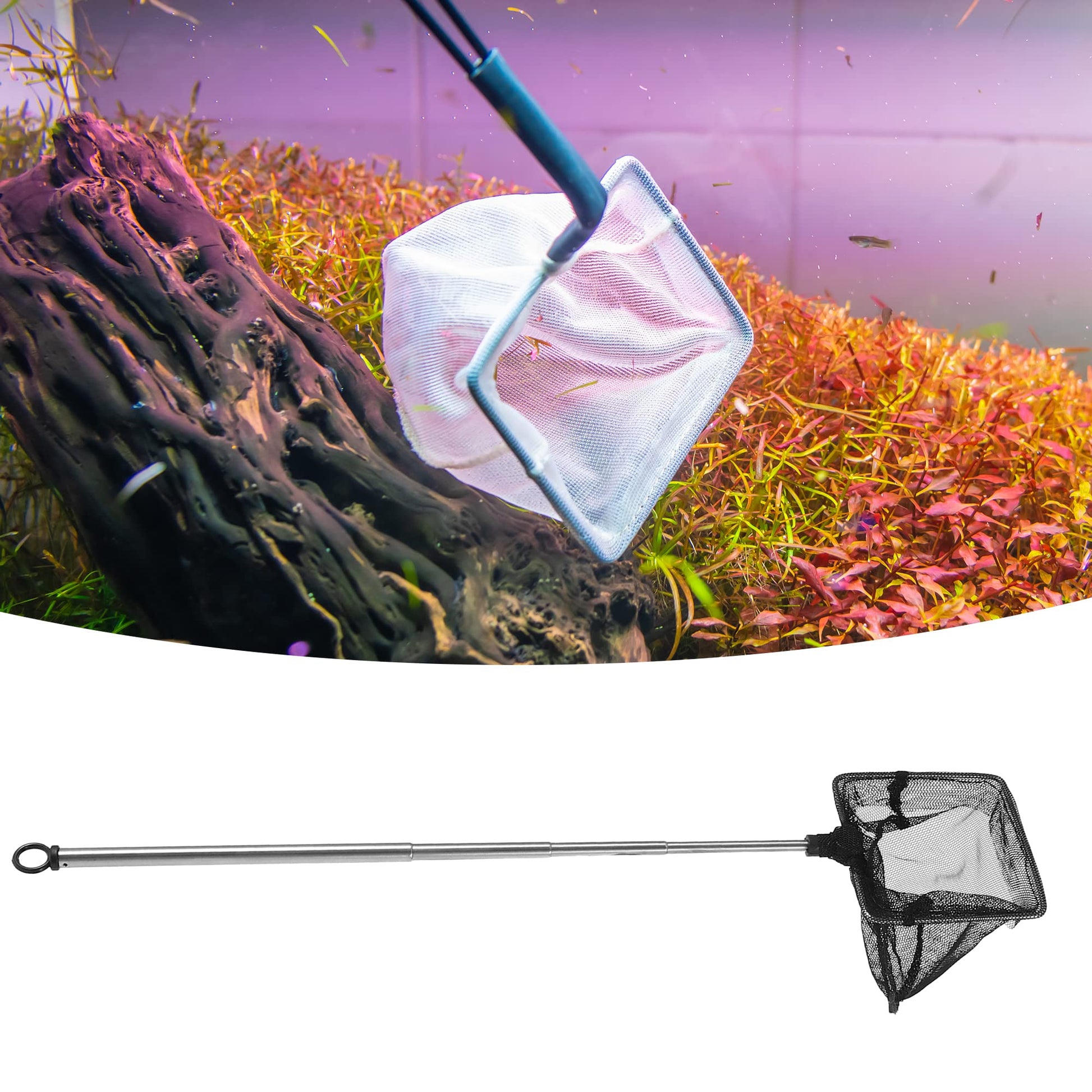 Your one-stop shop for diverse, top-quality aquarium supplies and accessories