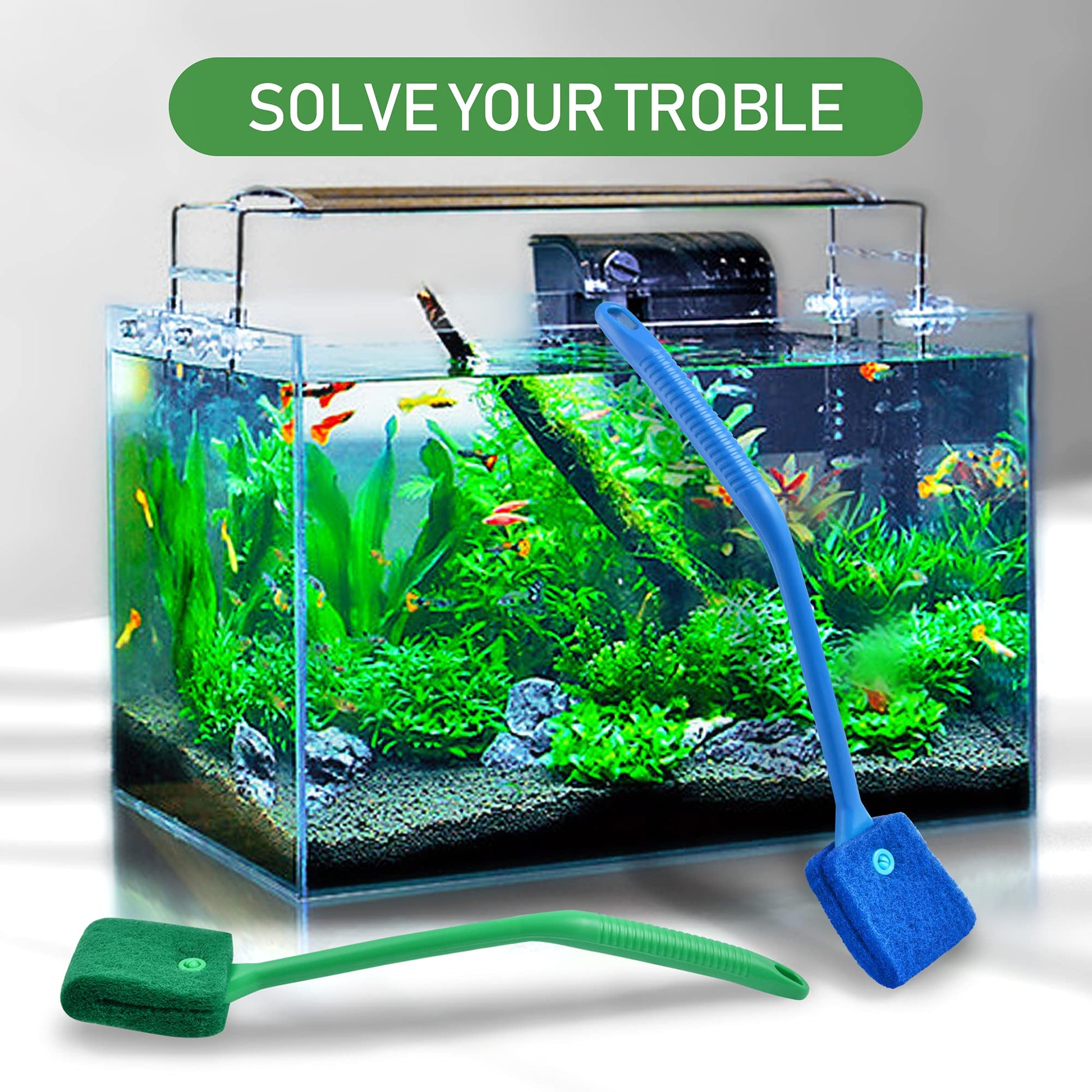Your one-stop shop for diverse, top-quality aquarium supplies and accessories