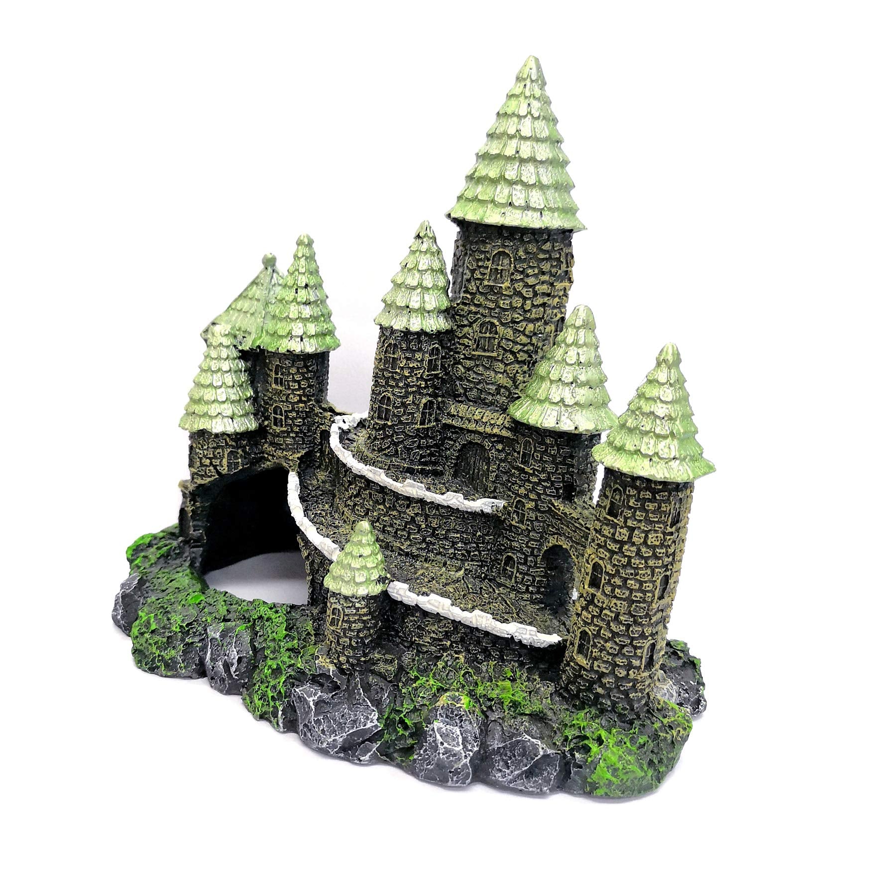 Your one-stop shop for diverse, top-quality aquarium supplies and accessories