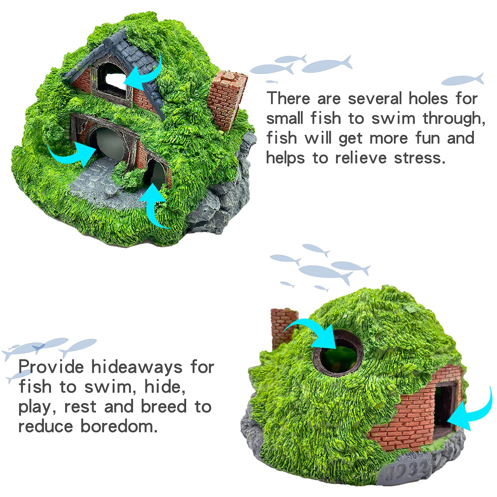 Your one-stop shop for diverse, top-quality aquarium supplies and accessories