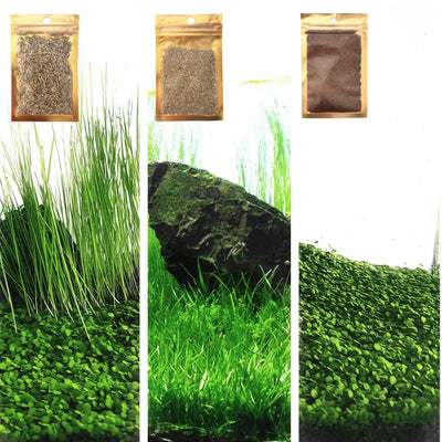 Your one-stop shop for diverse, top-quality aquarium supplies and accessories