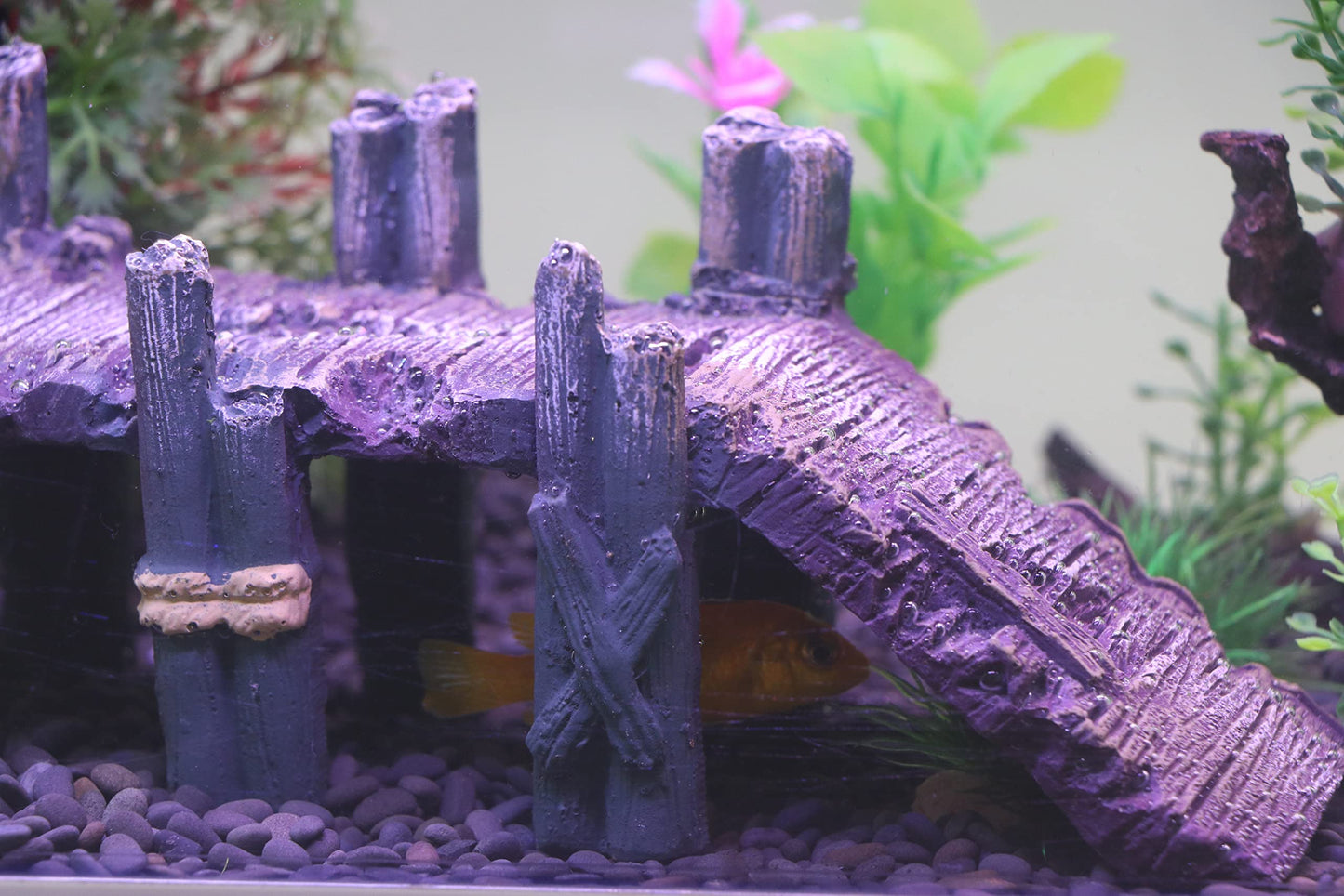 Your one-stop shop for diverse, top-quality aquarium supplies and accessories