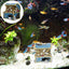 Your one-stop shop for diverse, top-quality aquarium supplies and accessories