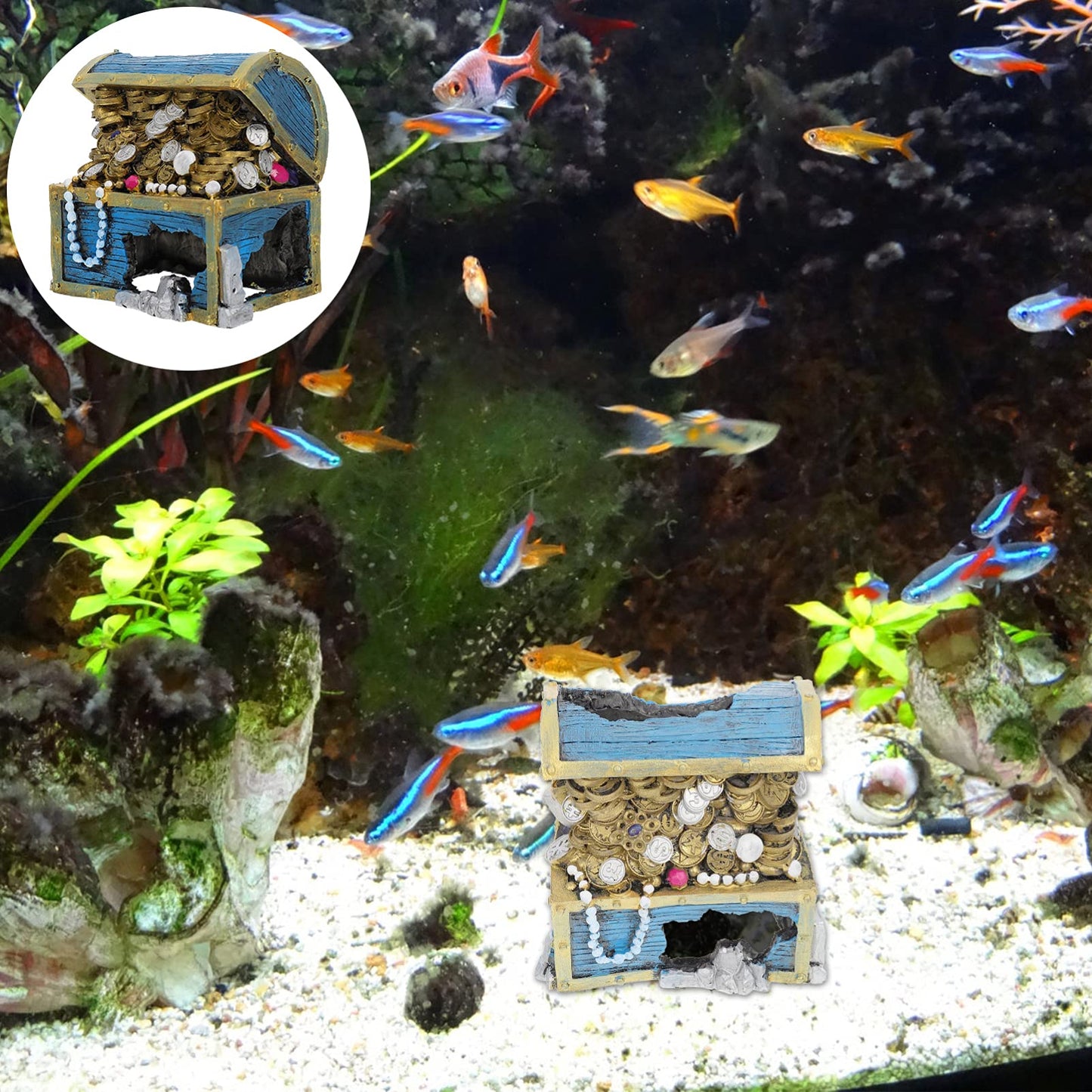 Your one-stop shop for diverse, top-quality aquarium supplies and accessories