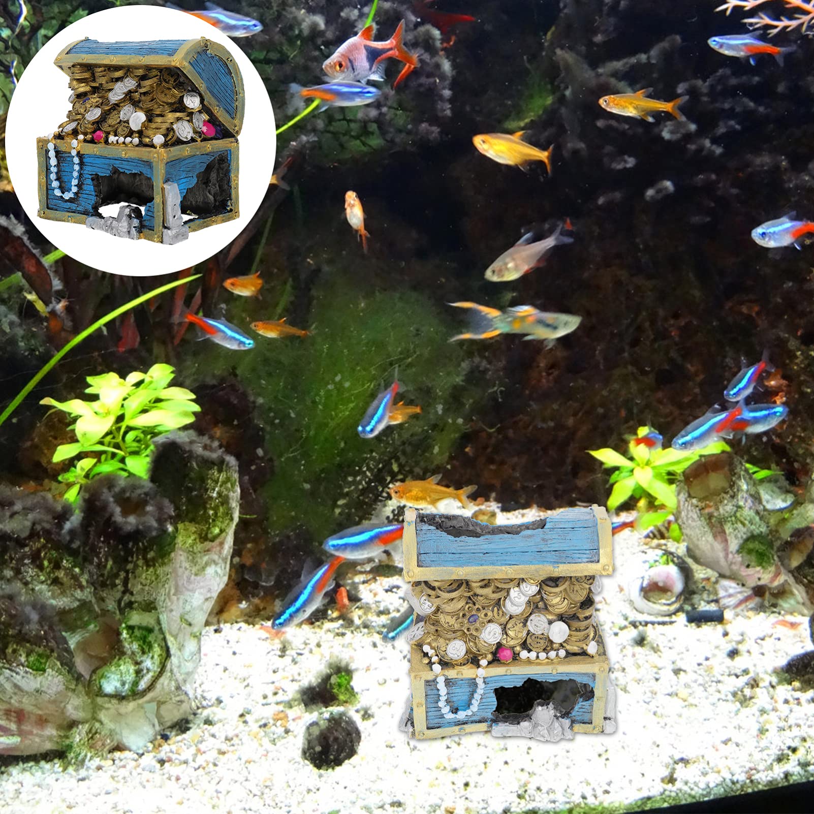 Your one-stop shop for diverse, top-quality aquarium supplies and accessories