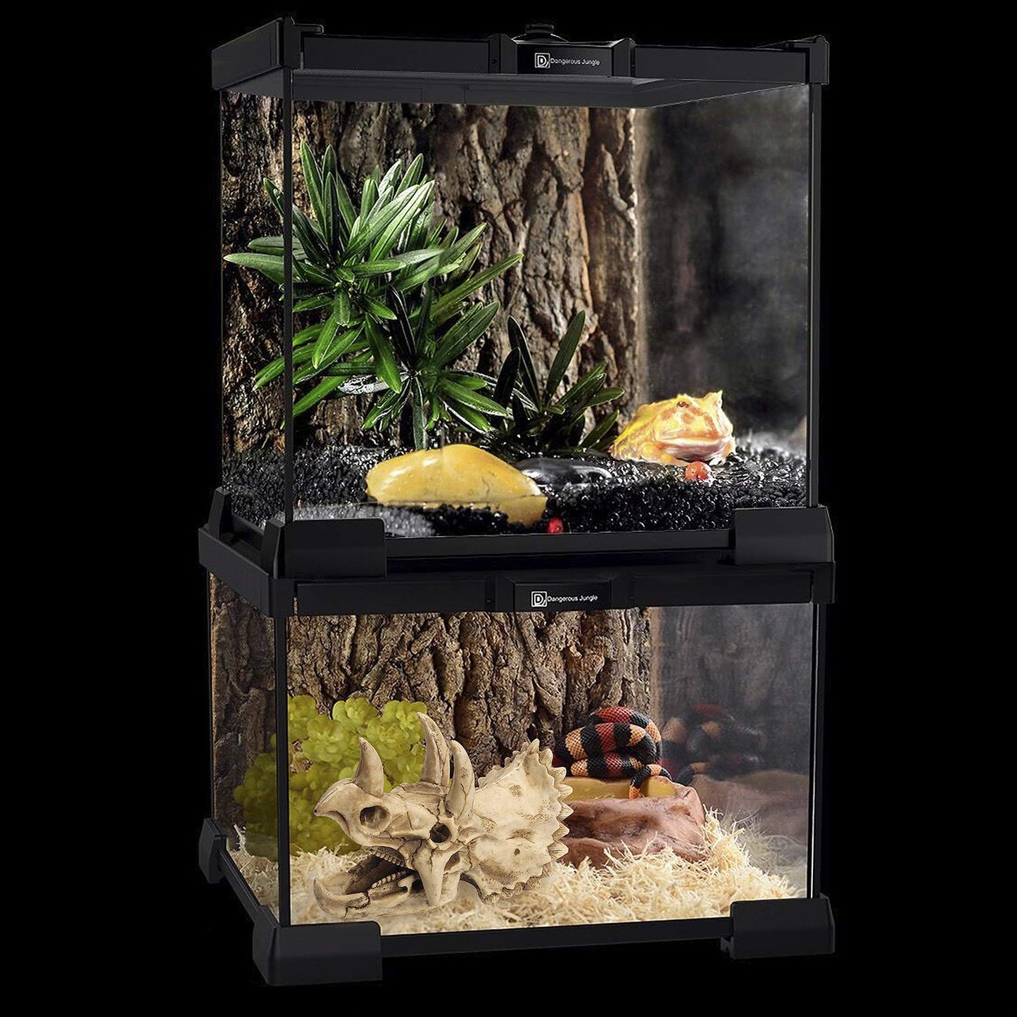 Your one-stop shop for diverse, top-quality aquarium supplies and accessories