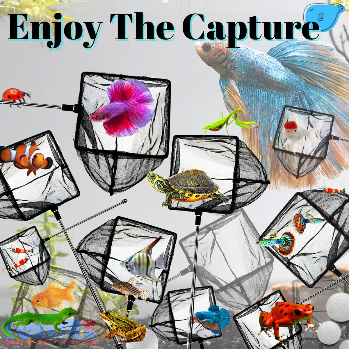 Your one-stop shop for diverse, top-quality aquarium supplies and accessories