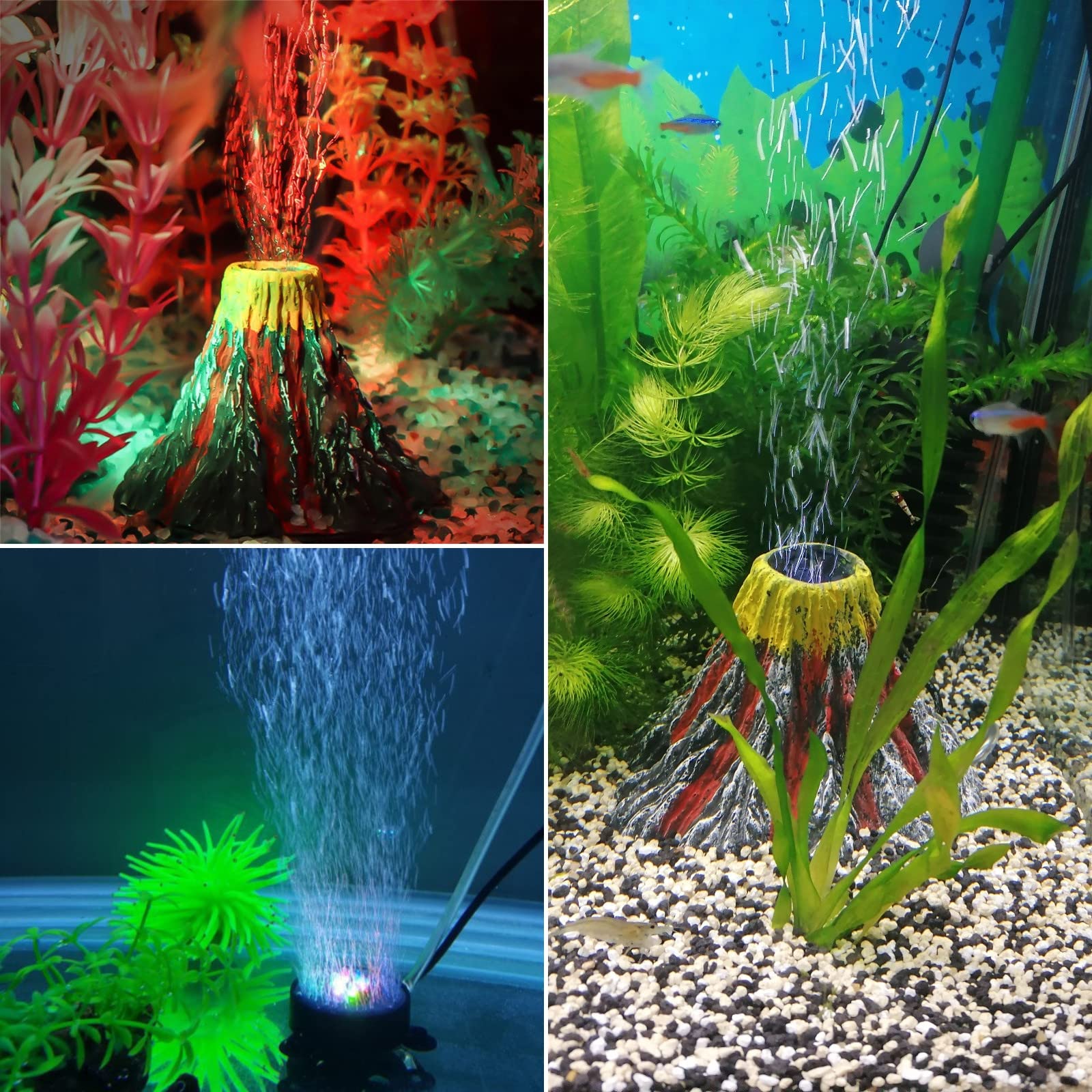 Your one-stop shop for diverse, top-quality aquarium supplies and accessories