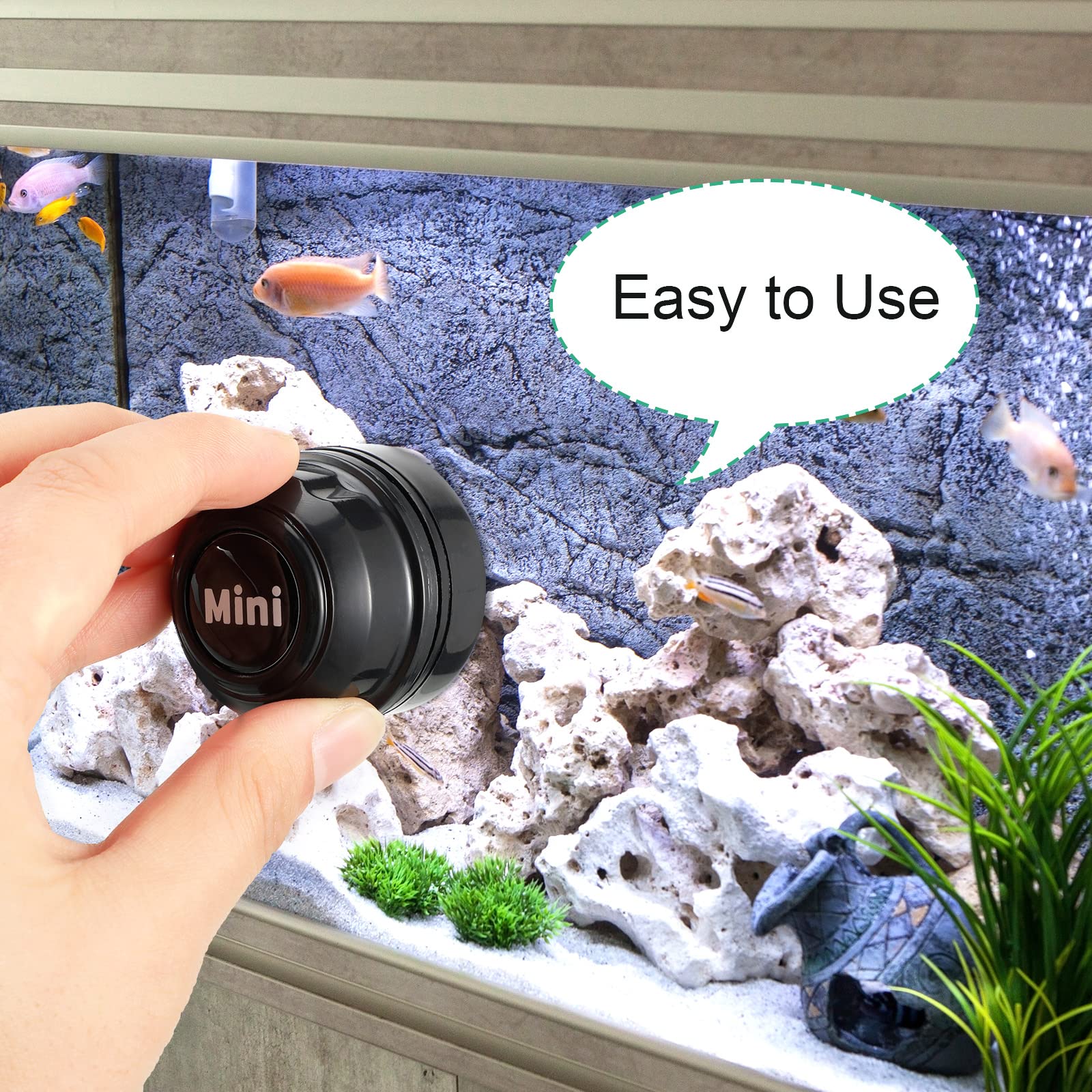 Your one-stop shop for diverse, top-quality aquarium supplies and accessories