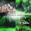 Your one-stop shop for diverse, top-quality aquarium supplies and accessories