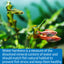 Your one-stop shop for diverse, top-quality aquarium supplies and accessories