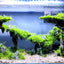 Your one-stop shop for diverse, top-quality aquarium supplies and accessories