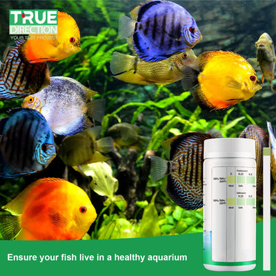 Your one-stop shop for diverse, top-quality aquarium supplies and accessories