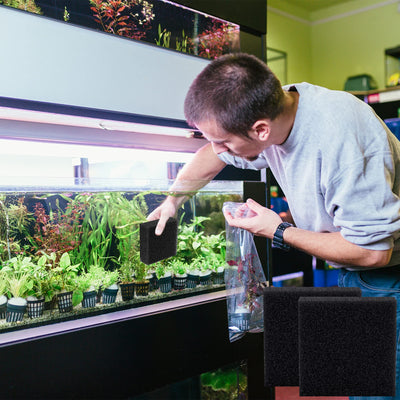 Your one-stop shop for diverse, top-quality aquarium supplies and accessories