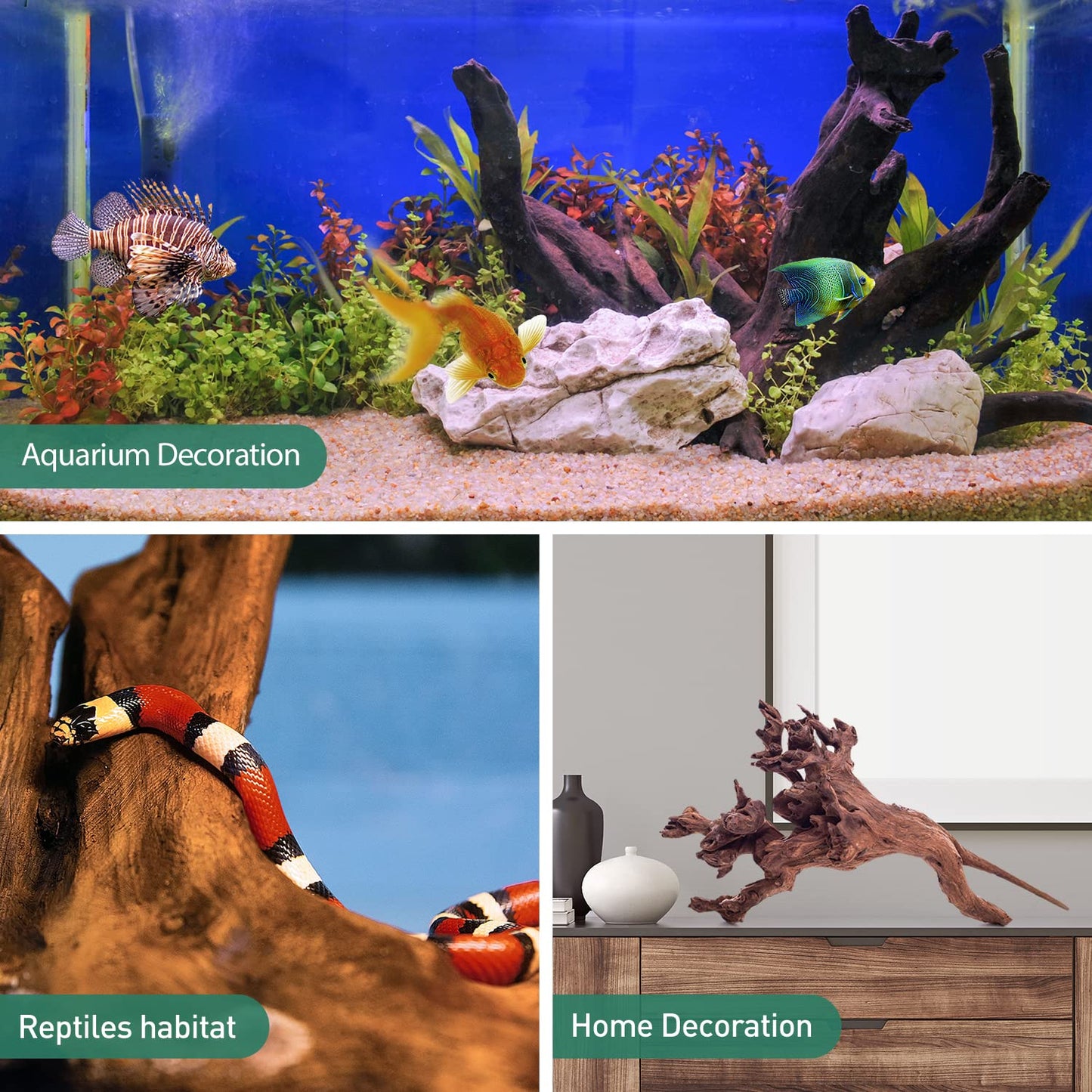 Your one-stop shop for diverse, top-quality aquarium supplies and accessories